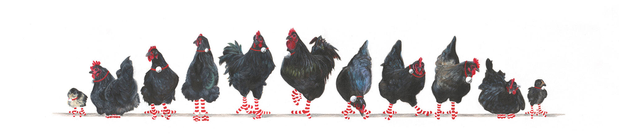 11-Australorps-Banner-2-Christmas-2020