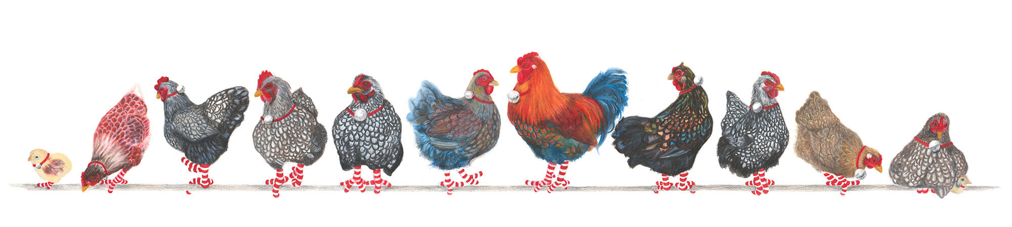 12-Wyandottes-Banner-2-Christmas-2020