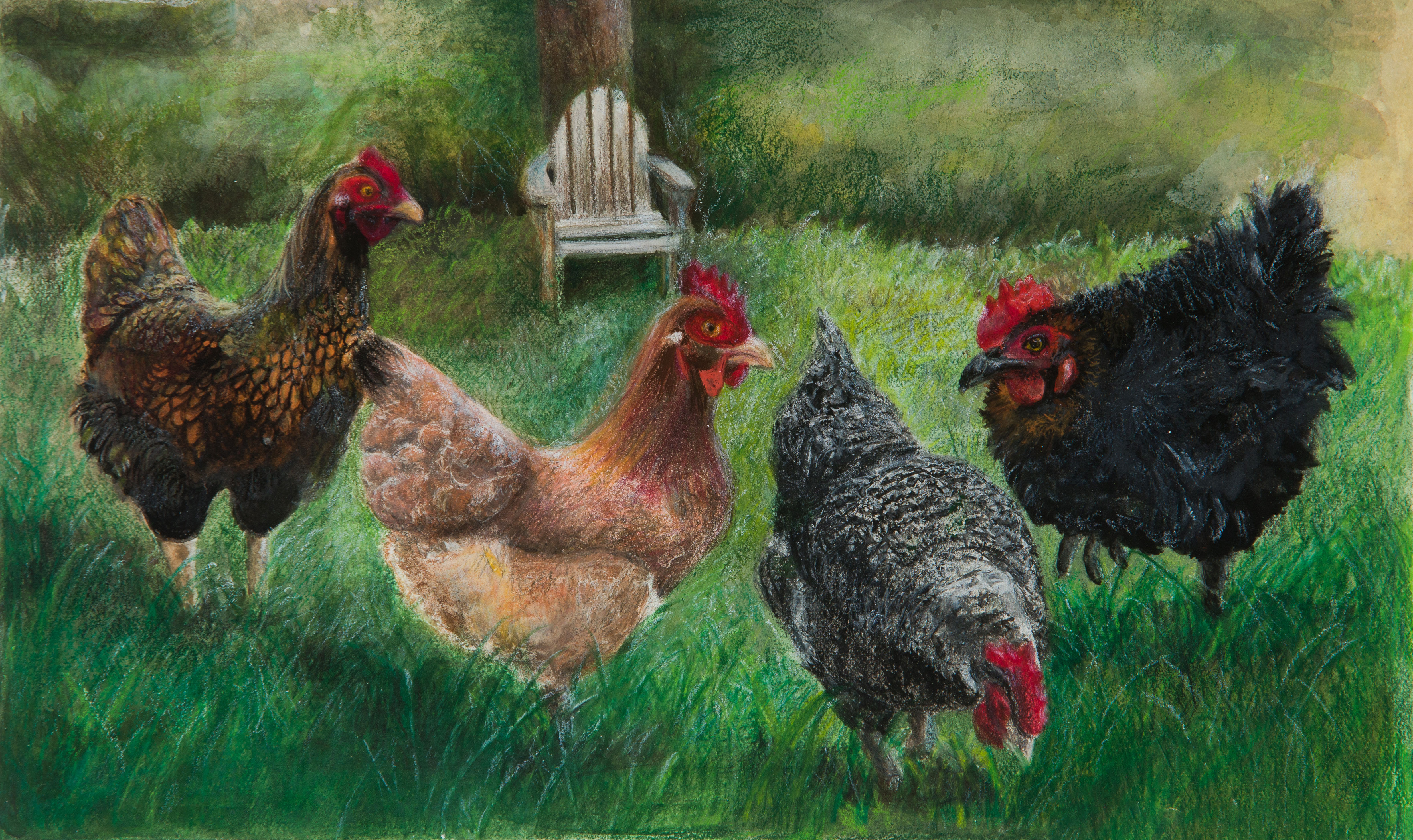 Free-Ranging-September-2019