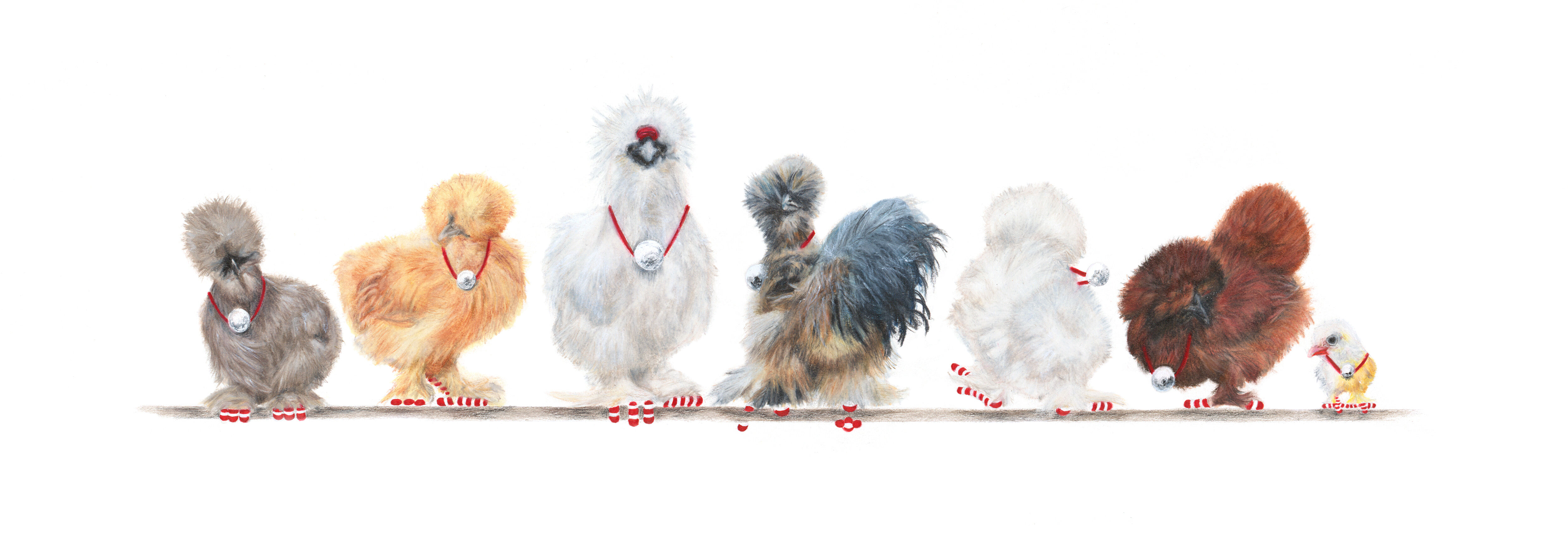 7-Silkie-Bantams-Artworks-Page-Christmas-2020