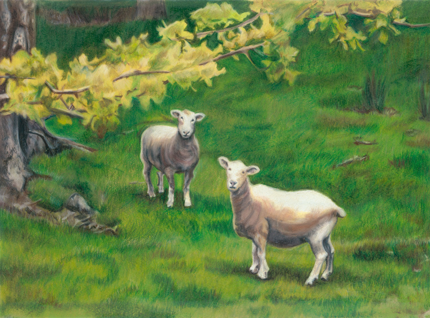 Quietly-Curious-September-2019