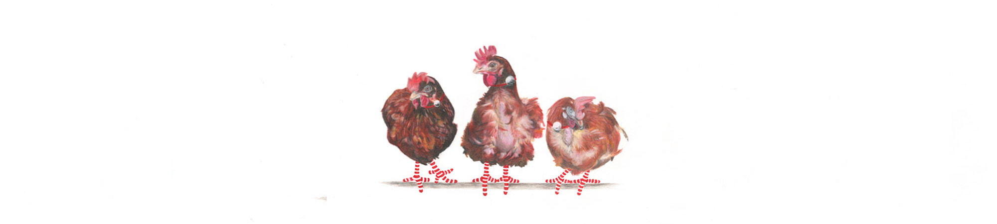 3-Rescue-Hens-Banner-2-Christmas-2020
