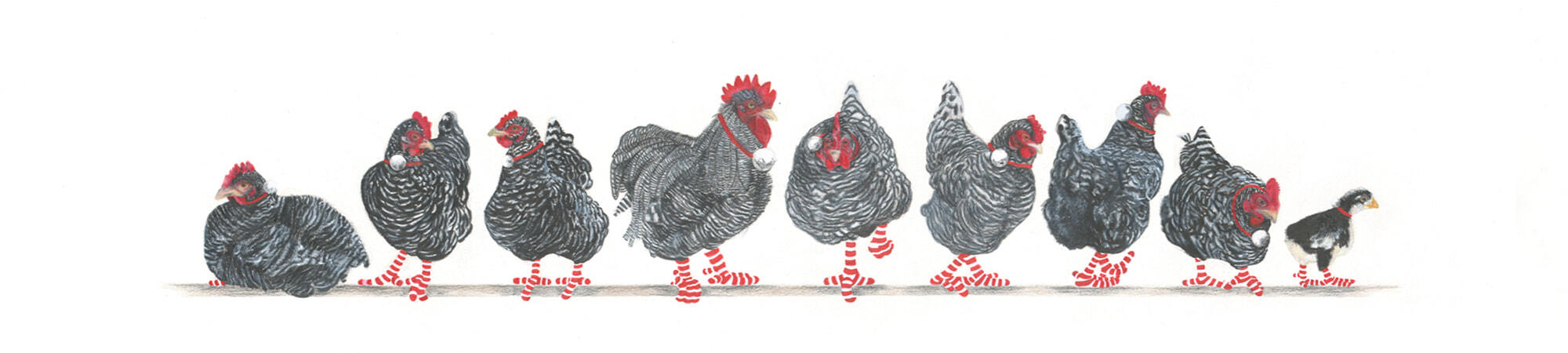 9-Plymouth-Rocks-Banner-2-Christmas-2020