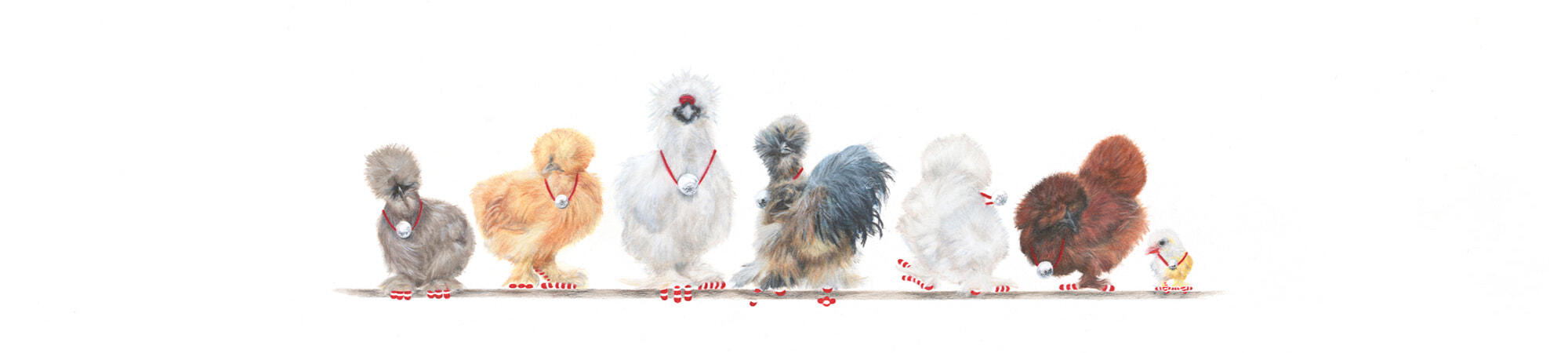 7-Silkie-Bantams-Banner-2-Christmas-2020
