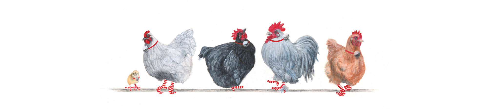 5-Orpingtons-Banner-2-Christmas-2020