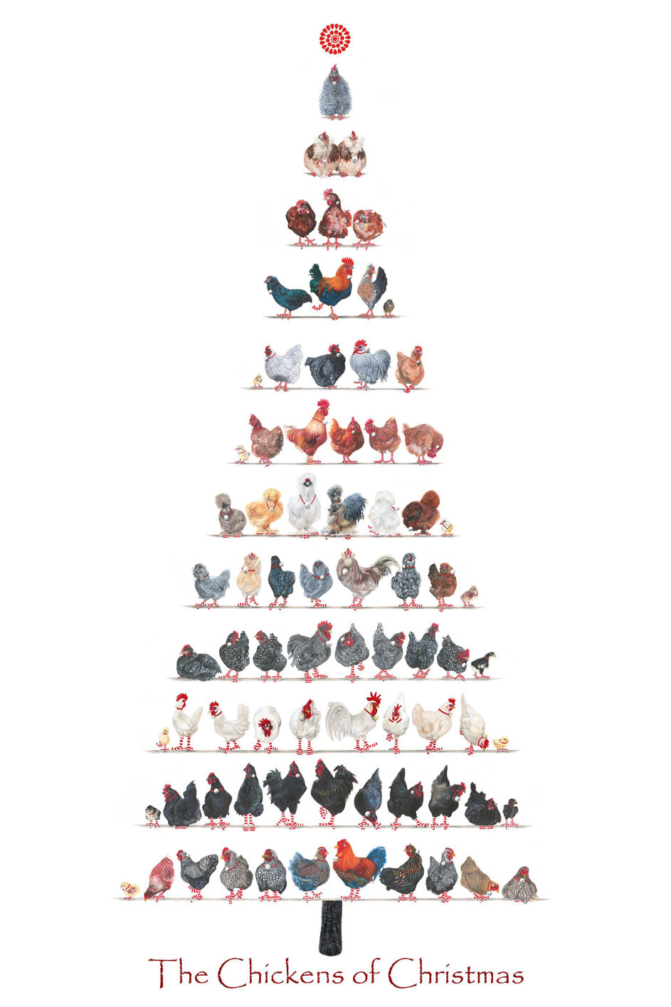 A3-Christmas-Chicken-poster-for-web-smaller