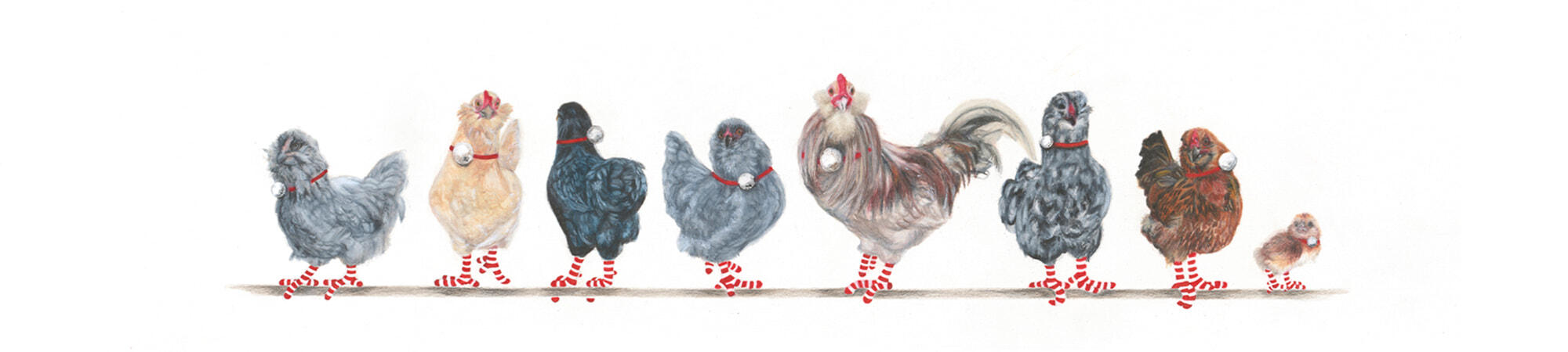 8-Araucanas-Banner-2-Christmas-2020