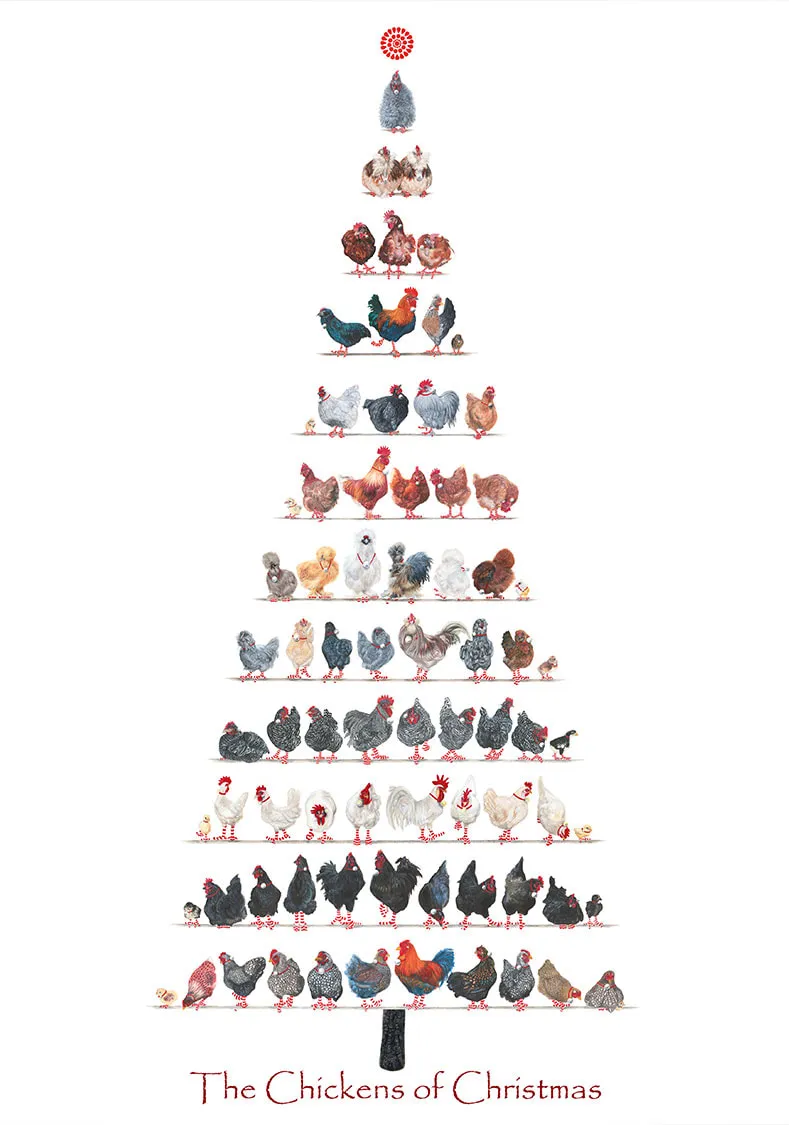 Blog-1-Chickens-of-Christmas