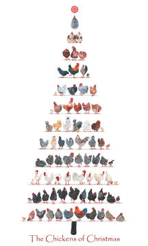 Christmas-Chicken-Tree-Artprints-December-2020