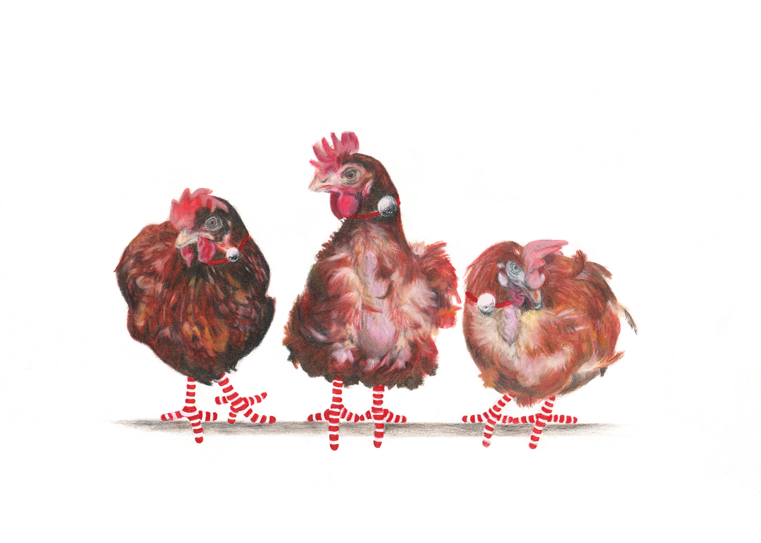 3-Rescue-Hens-Artworks-Page-Christmas-2020