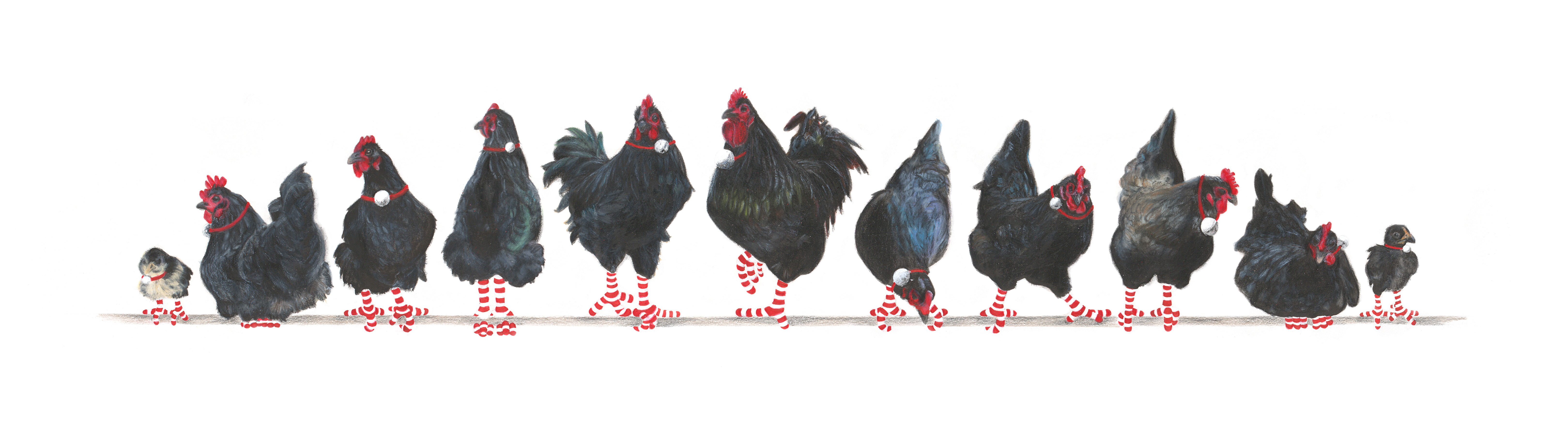 11-Australorps-Artworks-Page-Christmas-2020